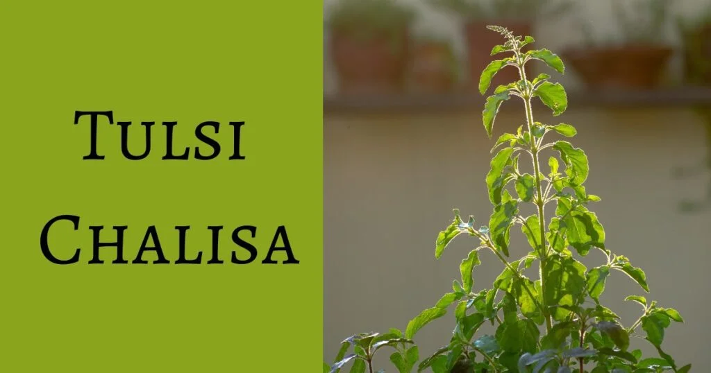 Shri Tulsi Chalisa