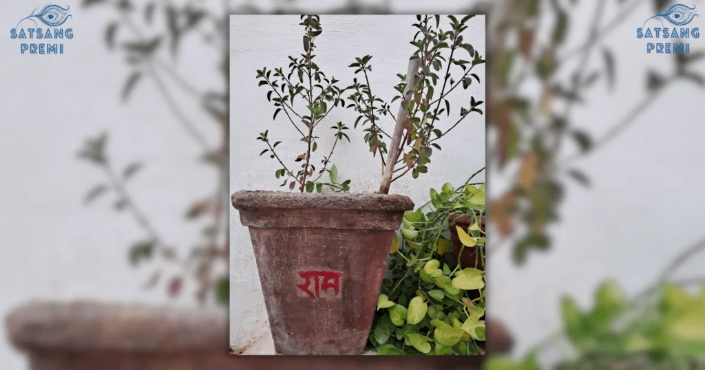 Mere Angna Mein Tulsi Ka Byah Sakhiyo Lyrics